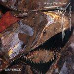 TWO LONE SWORDSMEN - A Virus With Shoes - 33T