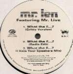 MR. LEN - What The F...? / Straight - Disque Maxi 45T