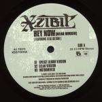 XZIBIT - Hey Now (Mean Muggin') / Beware Of Us - 12 inch 45 rpm