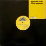 AUDIO SOUL PROJECT - Free Falling / Substance Abuse - Disque Maxi 45T