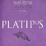 TERRA FERMA & I-CHING - Obelix - Disque CD single