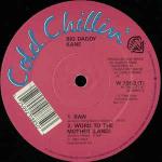 BIG DADDY KANE - Raw / Word To The Mother (Land) - Disque Maxi 45T