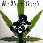 MR. ELECTRIC TRIANGLE - Is The 'erb Dope - Disque Maxi 45T