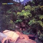 KEYBOY - Viva Blue - 12 inch 45 rpm