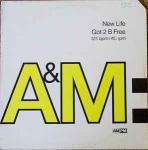 NEW LIFE - Got 2 B Free - Disque Maxi 45T