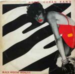 LOVE CHILDS AFRO CUBAN BLUES BAND - Black Widow Woman / Delicado - Disque Maxi 45T