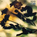 DANNY WILSON - The Second Summer Of Love - 12 inch 45 rpm