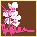 HAVANA - Shine / Tangled - 12 inch 45 rpm