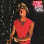 ANDY GIBB - After Dark - Disque 33T
