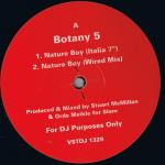 BOTANY 5 - Nature Boy - Disque Maxi 45T