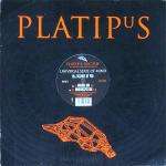 UNIVERSAL STATE OF MIND - All Because Of You (plat2312) - Maxi 45T