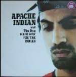 Apache Indian & Tim Dog - Make Way For The Indian Album