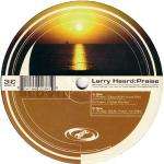 Larry Heard Music.