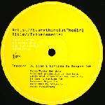 EVERYTHING BUT THE GIRL - Temperamental - Disque Maxi 45T x 2