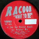 What To Be - Racoon