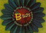 B-52's, The Music.