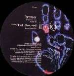 Shell Shocked - Indigo