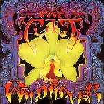 Cult - Wild Flower Album