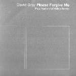 David Gray - Please Forgive Me (paul Hartnoll (orbital Remixes))