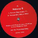 BOTANY 5 - Nature Boy - 12 inch 45 rpm