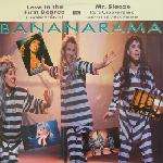 Bananarama - Love In The First Degree Single