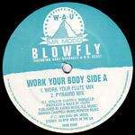 Work Your Body - Blowfly