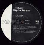 Ghetto Day / What I Need - Crystal Waters
