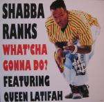 What Cha Gonna Do 6 Vers listings