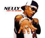 Nelly - Hot In Herre Vinyl