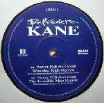 Never Felt As Good (the Remixes) - Belvedere Kane