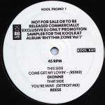 VARIOUS - Rhythm Zone Sampler - Disque Maxi 45T