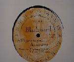 blackwood all i gave to you the remixes timel