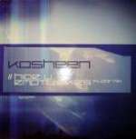Kosheen - Hide U / Empty Skies (floor Mix)