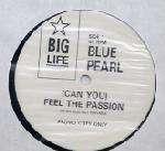 BLUE PEARL - (Can You) Feel The Passion - 12 inch 45 rpm