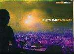 Paul Van Dyk - We Are Alive (vandit Mixes)