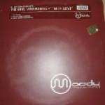 DJ RHYTHM & SOUL VISIONARIES, THE - I'm In Love - 12 inch 45 rpm