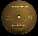 Boo Radleys,The Does This Hurt? 12''