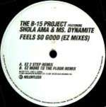 B-15 PROJECT & SHOLA AMA & MS. DYNAMITE - Feels So Good (EZ Mixes) - Disque Maxi 45T