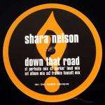 SHARA NELSON - Down That Road - Disque Maxi 45T