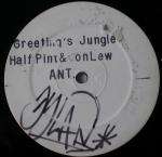 Half Pint & Don Lloydie & Lewi - Greeting's Jungle - Jet Star Records - Jungle