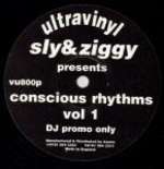 Sly & Ziggy - Conscious Rhythms Vol 1 - Ultra Vinyl - UK Garage