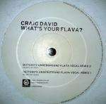 Craig David - What's Your Flava? - Wildstar Records - UK Garage