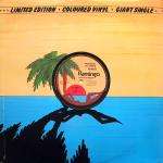 Bombers - (Everybody) Get Dancin' - Flamingo - Disco