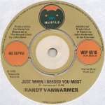 Randy Vanwarmer - Just When I Needed You Most - Bearsville - Down Tempo