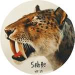 Sabre - Nightdrive To Bolland - W.T. Records - Deep House