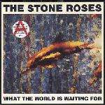 Stone Roses, The - What The World Is Waiting For / Fools Gold -(some ring wear on sleeve) - Silvertone Records - Indie