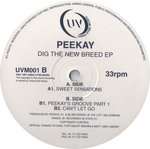 Peekay - Dig The New Breed EP - Unda-Vybe - UK Garage