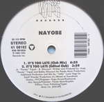 Nayobe - It's Too Late - WTG Records - US House