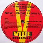 UBQ Project & Terence FM - Now I Know I Love U - Vibe Music - Deep House