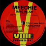 Meechie - Bring Me Joy - Vibe Music - US House
